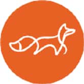 Foxtale
